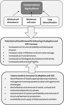 The Ability of Conservation Agriculture to Conserve Soil Organic Carbon and the Subsequent Impact on Soil Physical, Chemical, and Biological Properties and Yield